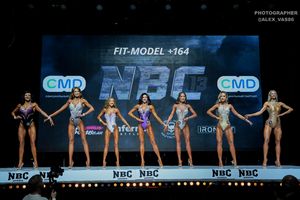 FIT-MODEL +164 ( 1 раунд)